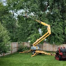 Best Landscape Design and Installation  in Centreville, MD